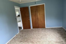 1517 Albert Street photo 4