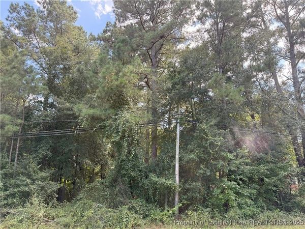 Lot 1 E Williams Street, Autryville, NC 28318