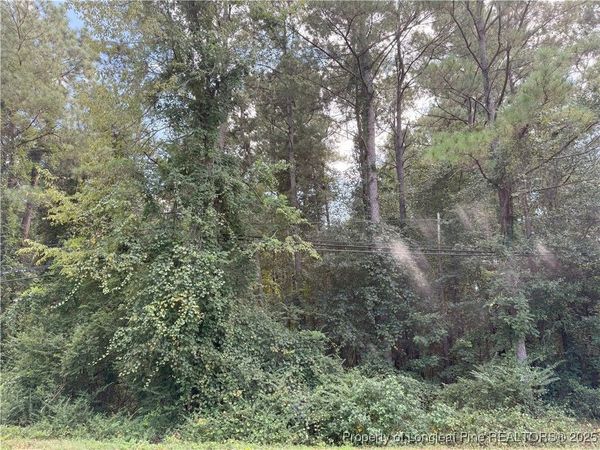 Lot 2 E Williams Street, Autryville, NC 28318