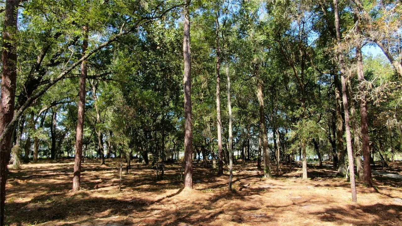 Lake Markham Road, Sanford, FL 32771 Photo