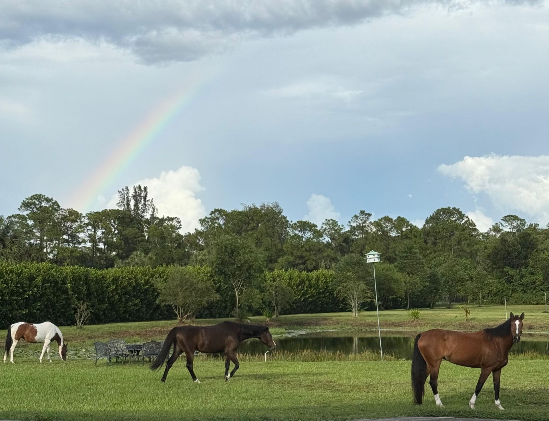 2770 E Road, Loxahatchee Groves, FL 33470 Photo