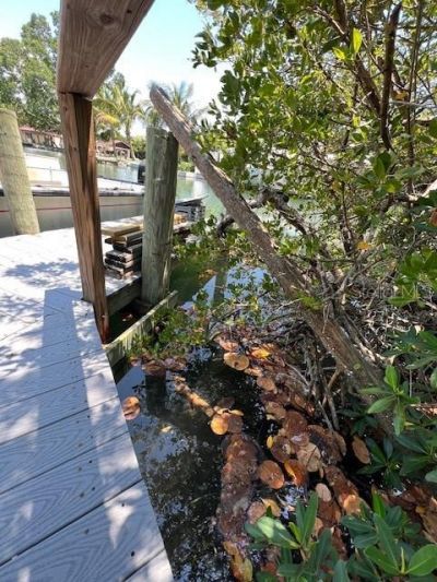 300 Garden Lane, Sarasota, FL 34242 Photo