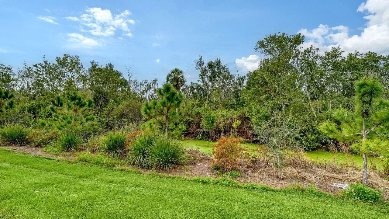 8221 Reefbay Cove, Parrish, FL 34219 Photo