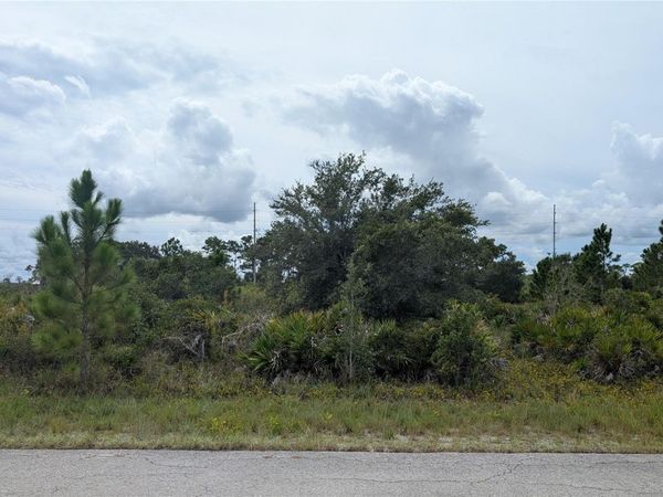3430 GERBER AVENUE, LAKE PLACID, FL 33852