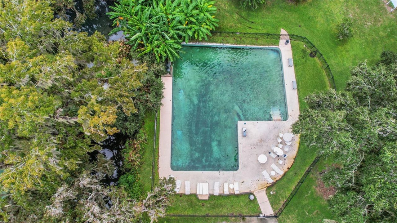 5 Magnolia Lane, Yalaha, FL 34797 Photo