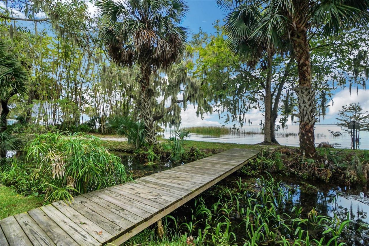 5 Magnolia Lane, Yalaha, FL 34797 Photo