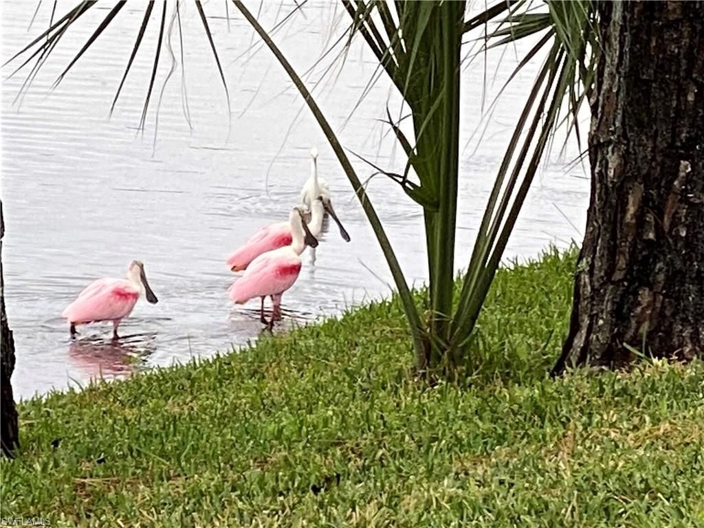 13779 Golden Palms Cir, Fort Myers, FL 33913 Photo