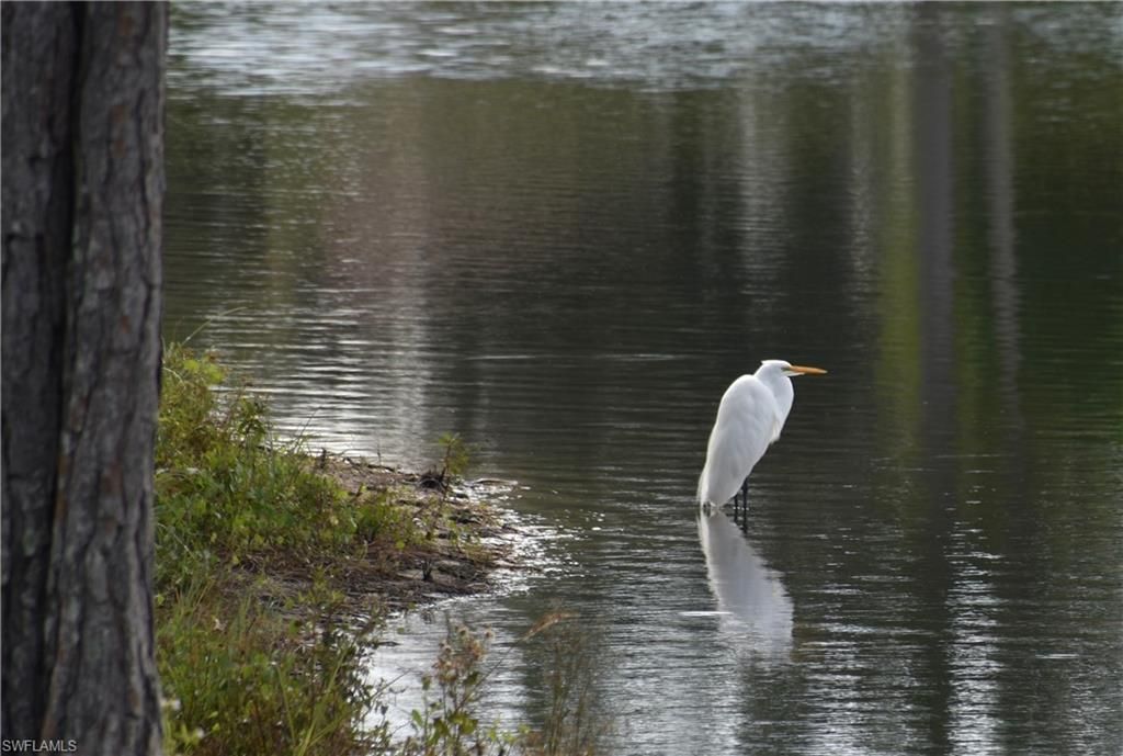 13779 Golden Palms Cir, Fort Myers, FL 33913 Photo