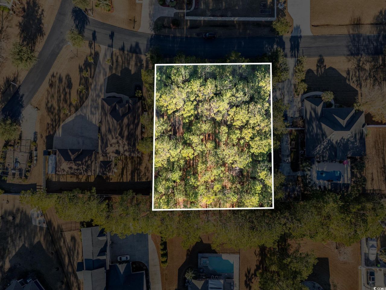 141 Planters Creek Dr. Photo 12