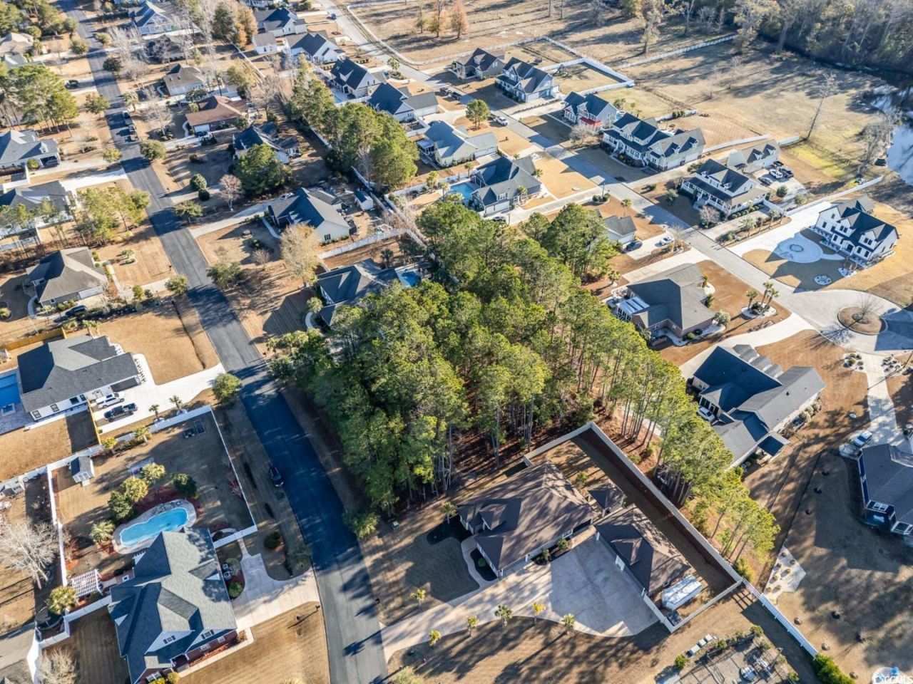 141 Planters Creek Dr. Photo 4