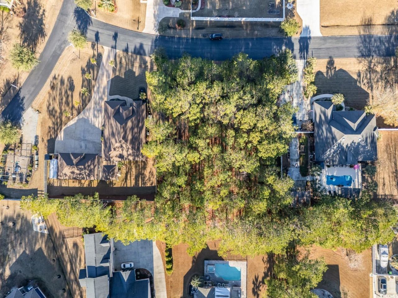 141 Planters Creek Dr. Photo 6