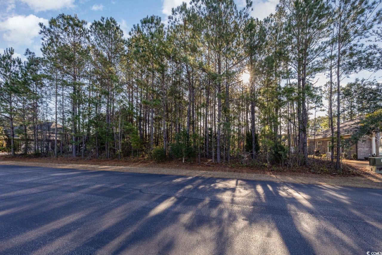 141 Planters Creek Dr. Photo 8