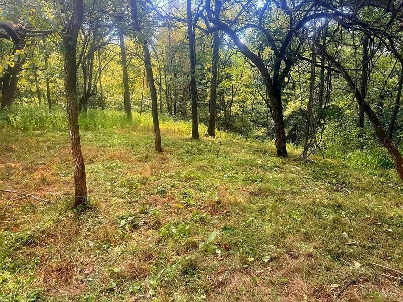 5.08 Ac Bear Creek Rd, Washington Township, OH 45120 Photo 6