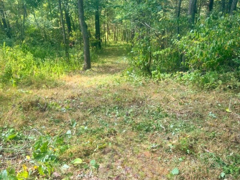 5.08 Ac Bear Creek Rd, Washington Township, OH 45120 Photo 7