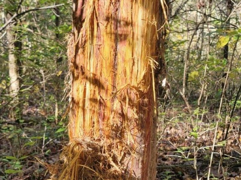 5.08 Ac Bear Creek Rd, Washington Township, OH 45120 Photo 9