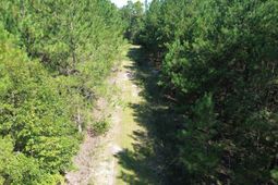 10 Red Oak Road photo 4