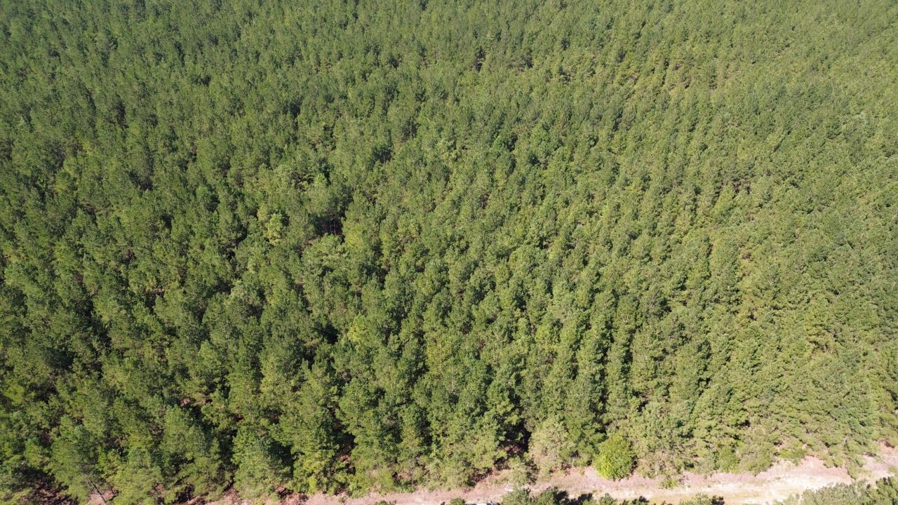 10 Red Oak Road Photo 4