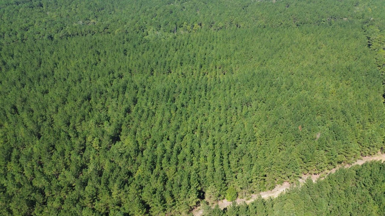 10 Red Oak Road Photo 5