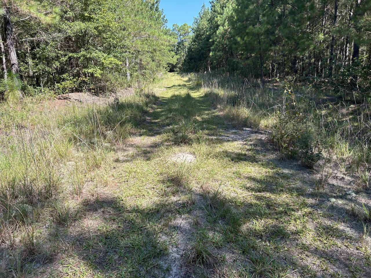 10 Red Oak Road Photo 7