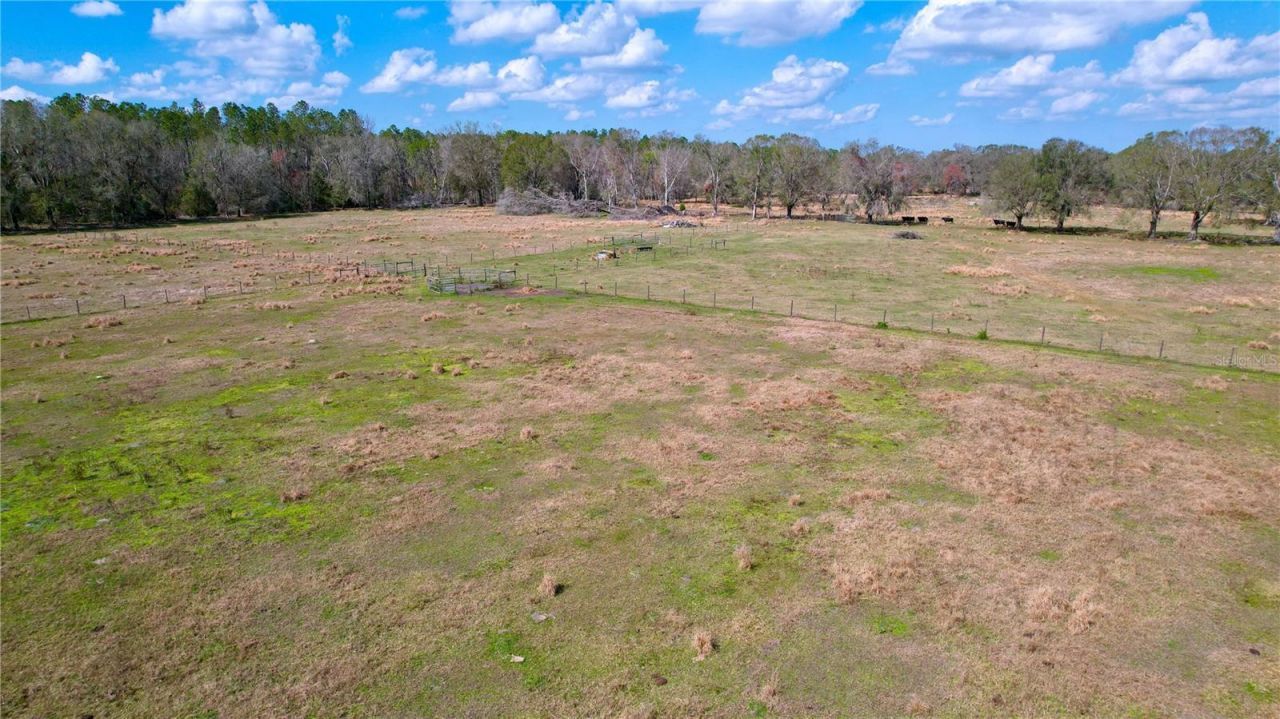 14890 Cr 757, Webster, FL 33597 Photo