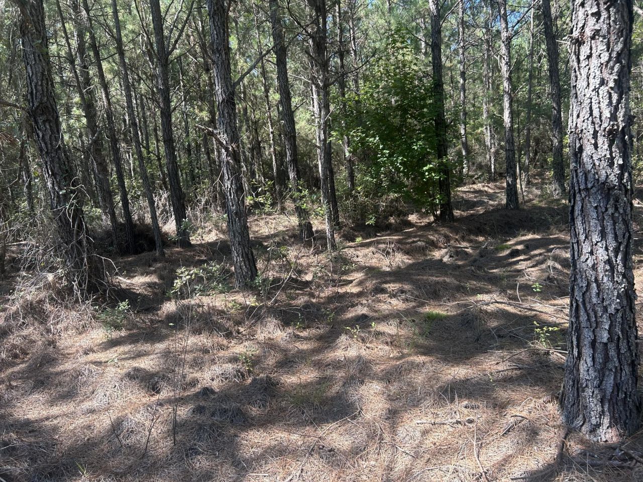 15 Red Oak Road Photo 10