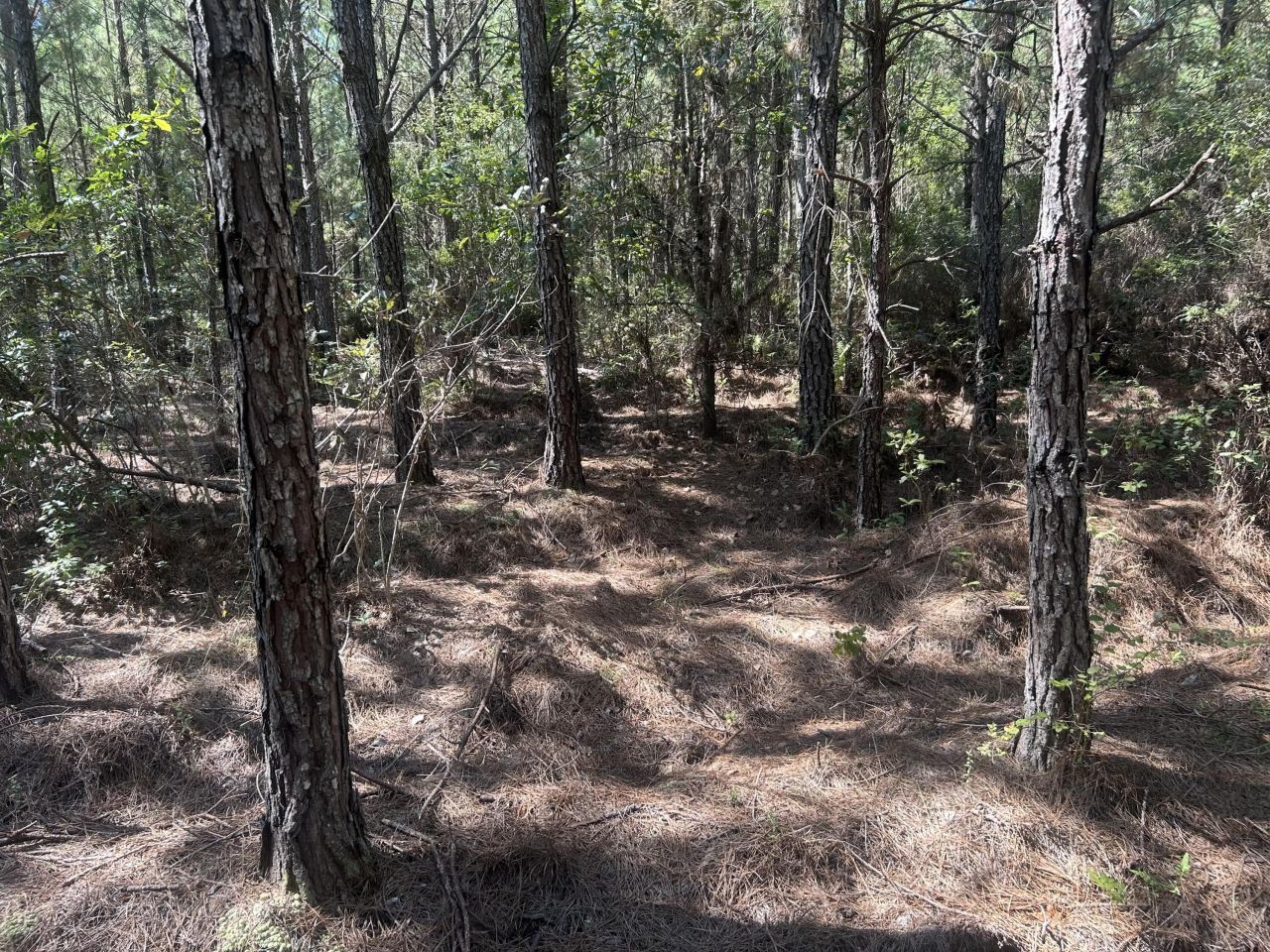 15 Red Oak Road Photo 12