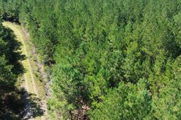 15 Red Oak Road photo 4