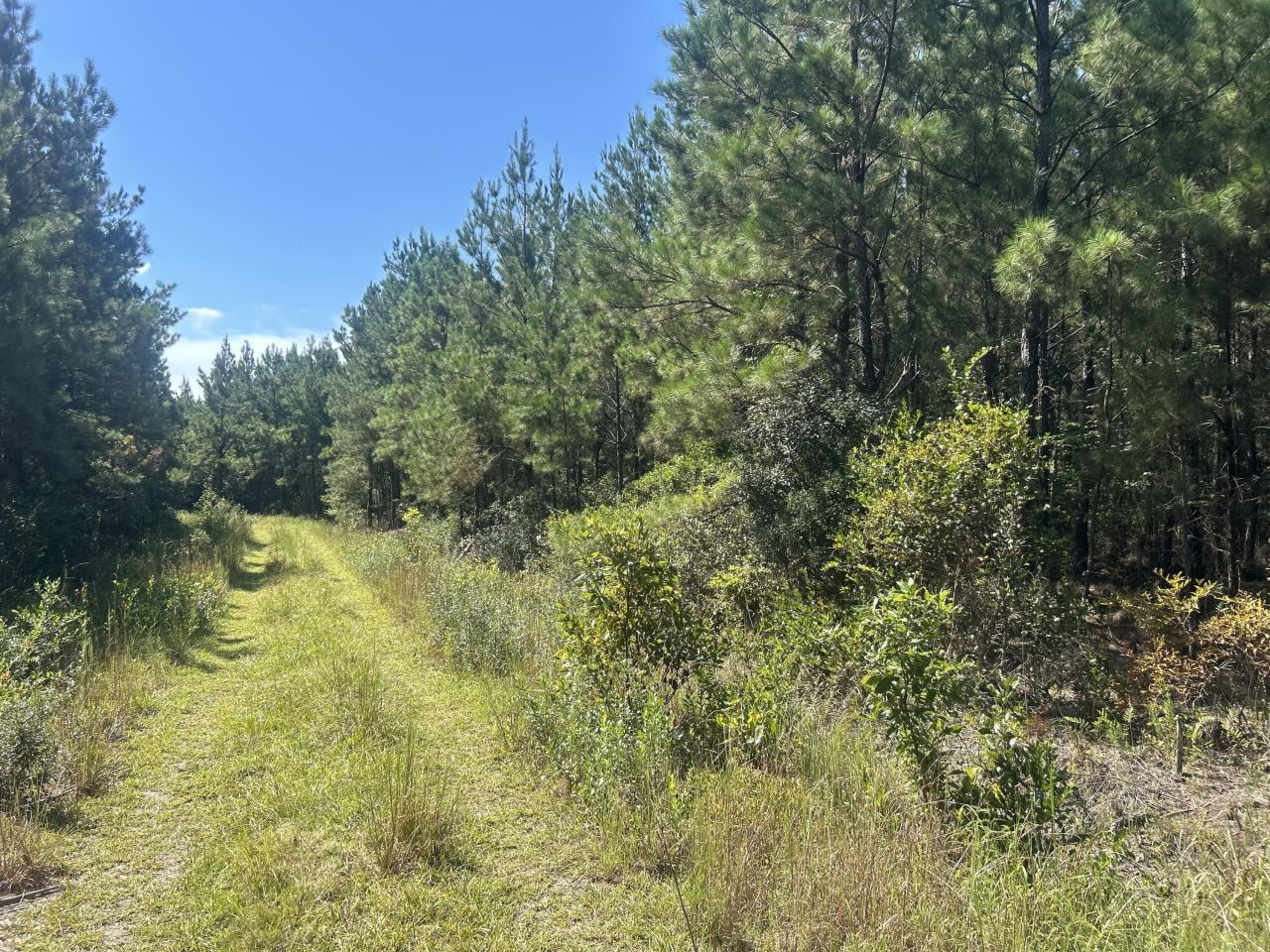 15 Red Oak Road Photo 20