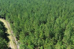 15 Red Oak Road photo 4