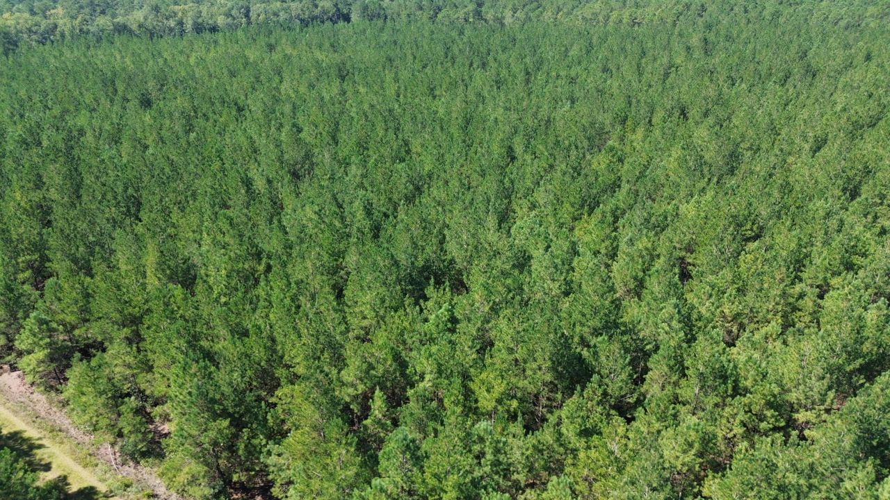 15 Red Oak Road Photo 4