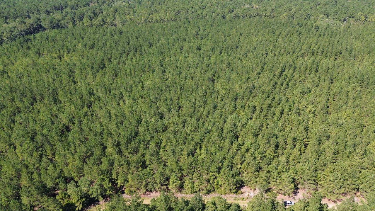 15 Red Oak Road Photo 5