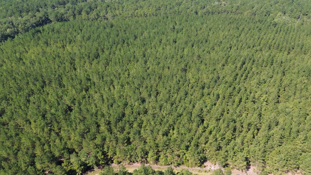 15 Red Oak Road Photo 6