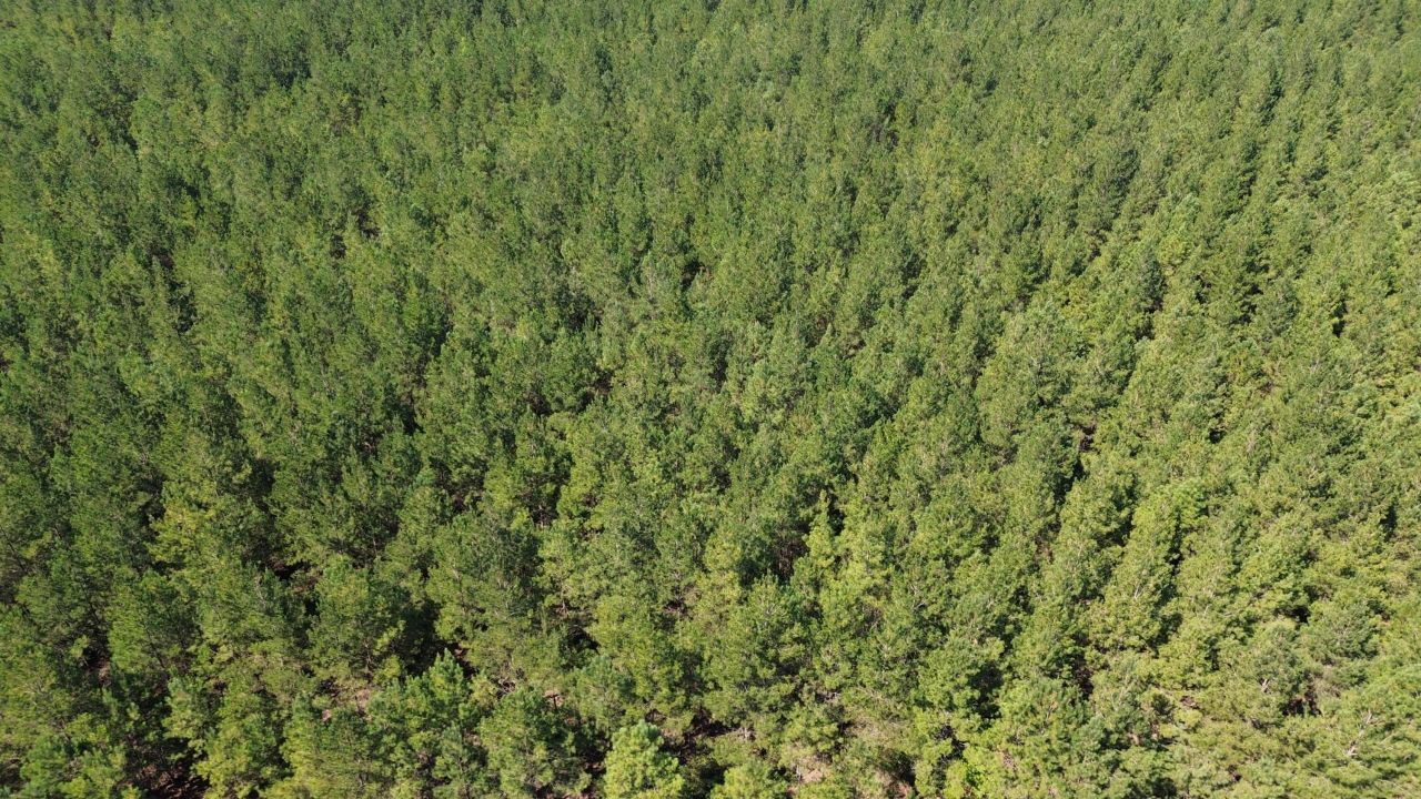 15 Red Oak Road Photo 7