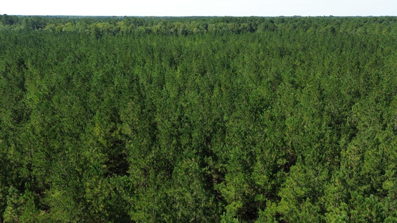 15 Red Oak Road Photo 8