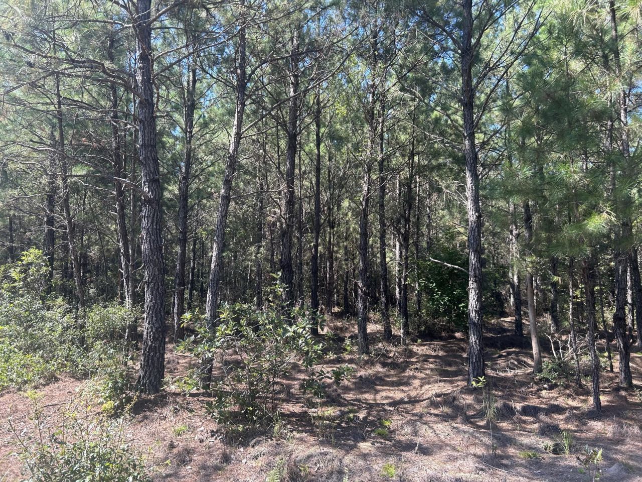 15 Red Oak Road Photo 9