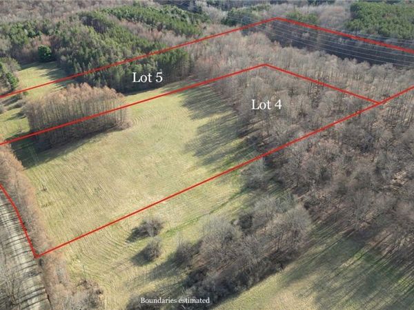 Lot 4 & Lot 5 Goddards Road, Mount Vision, NY 13810