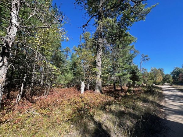 V/L L18-21 Monroe Avenue, Grayling, MI 49738