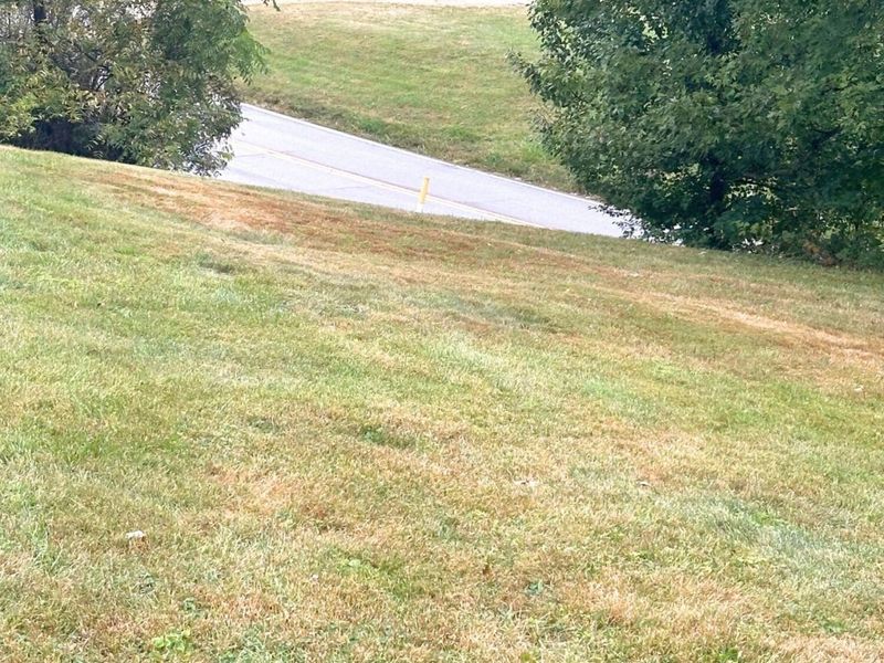 207 W Main Street, Corning, OH 43730 Photo 28