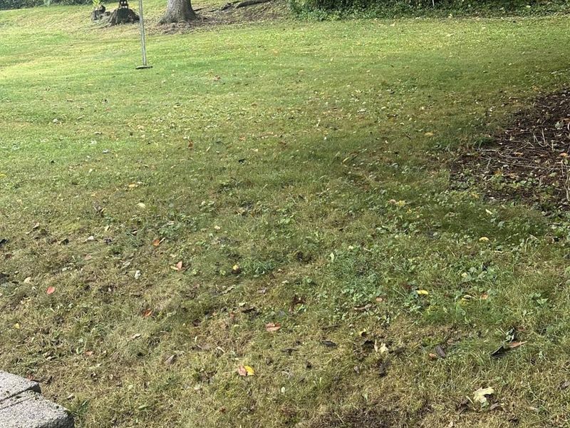 207 W Main Street, Corning, OH 43730 Photo 31