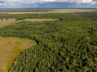 TBD Boy Lake Drive NE, Remer, MN 56672