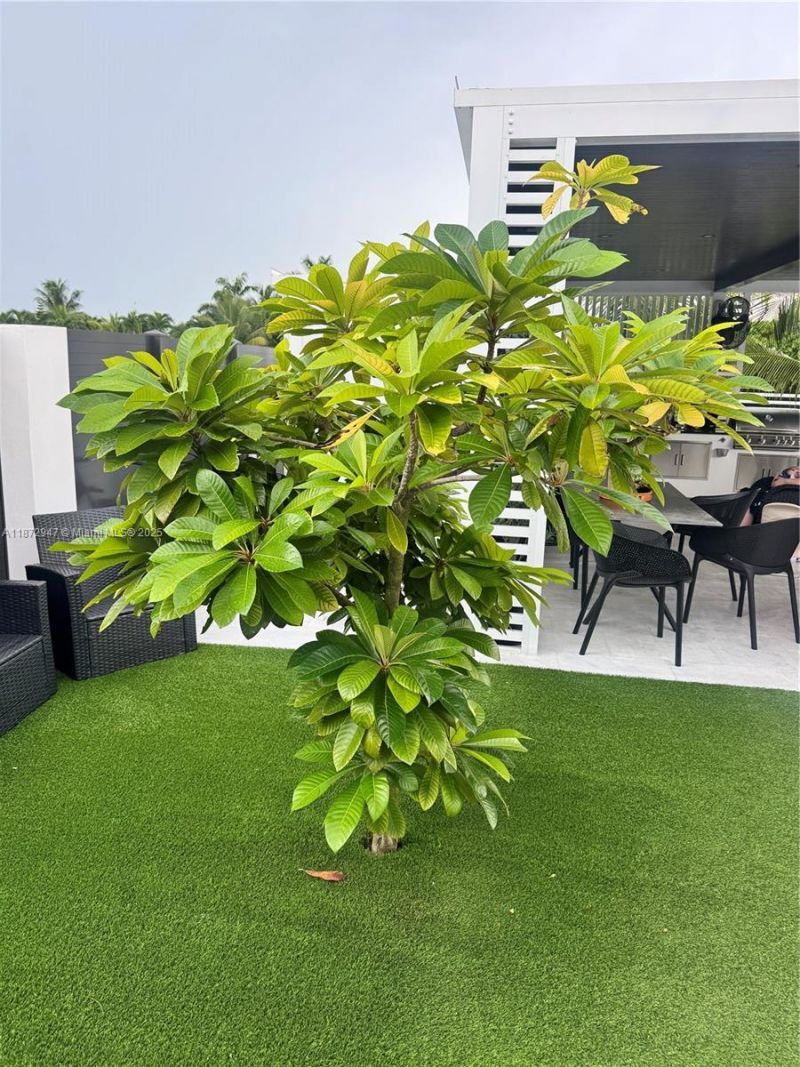 19302 SW 132nd Path, Miami, FL 33177 Photo