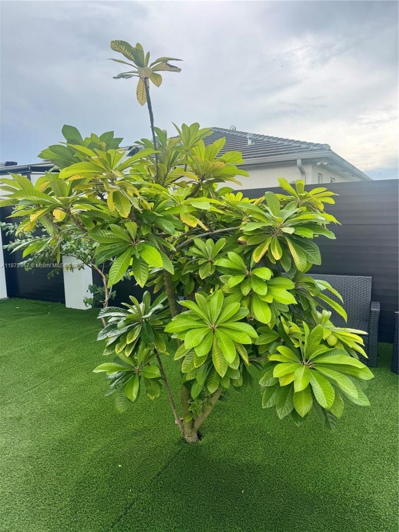 19302 SW 132nd Path, Miami, FL 33177 Photo