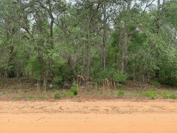 0 David Avenue, Interlachen, FL 32148