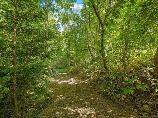 4555- LOT 2A Pompey Center Road, Manlius, NY 13104