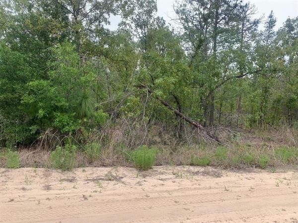 0 May Lane, Interlachen, FL 32148