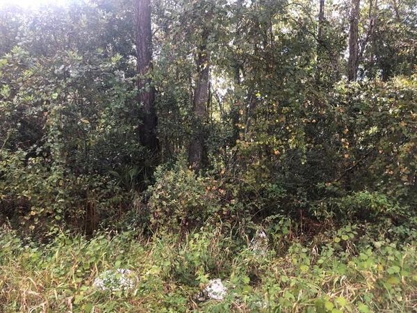0 Ida Boulevard, Interlachen, FL 32148