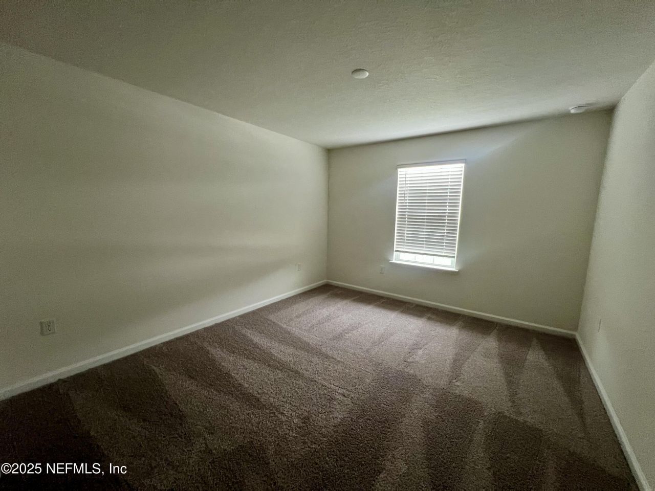 2967 Monroe Lakes Terrace, Green Cove Springs, FL 32043 Photo