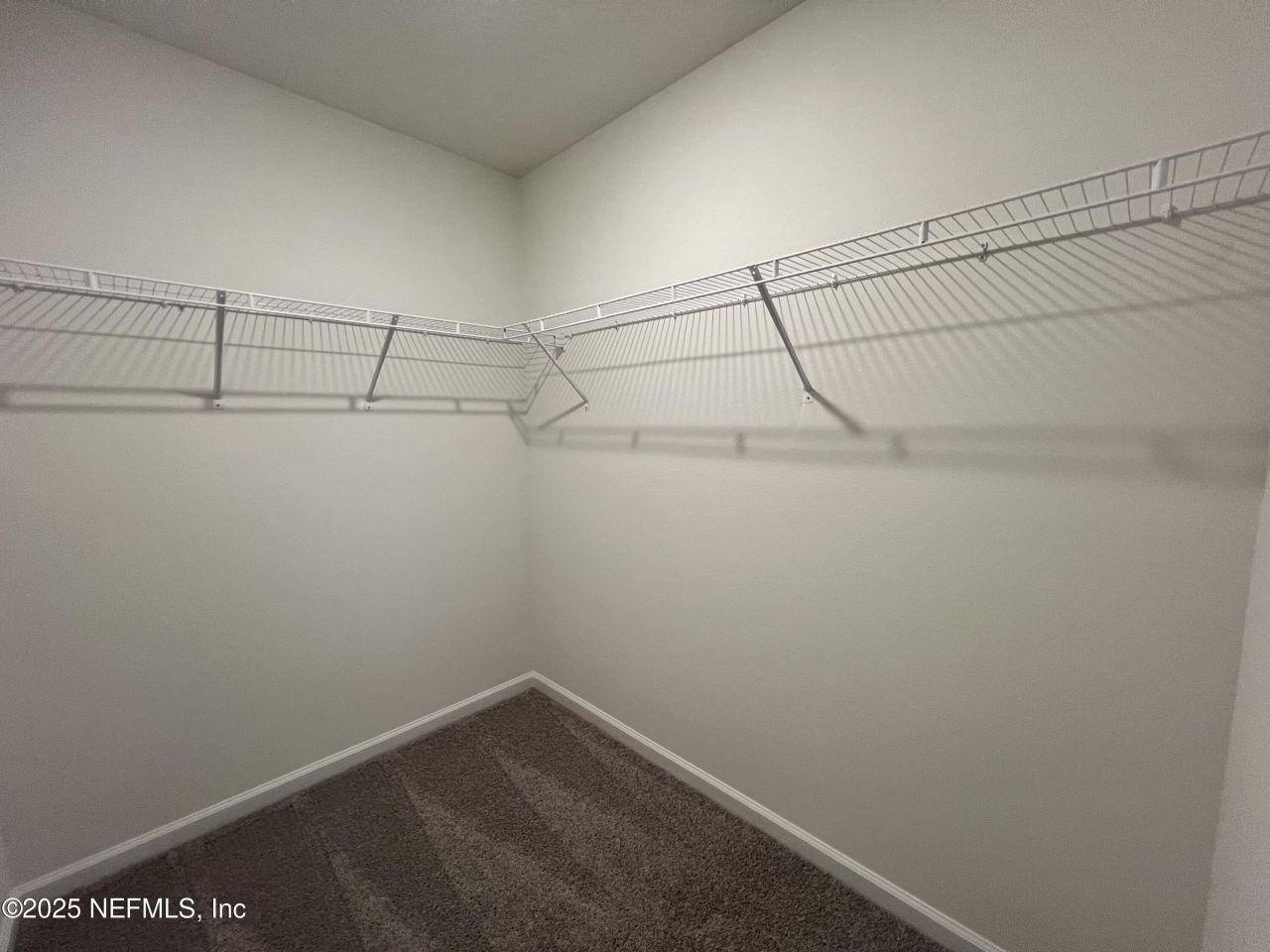 2967 Monroe Lakes Terrace, Green Cove Springs, FL 32043 Photo