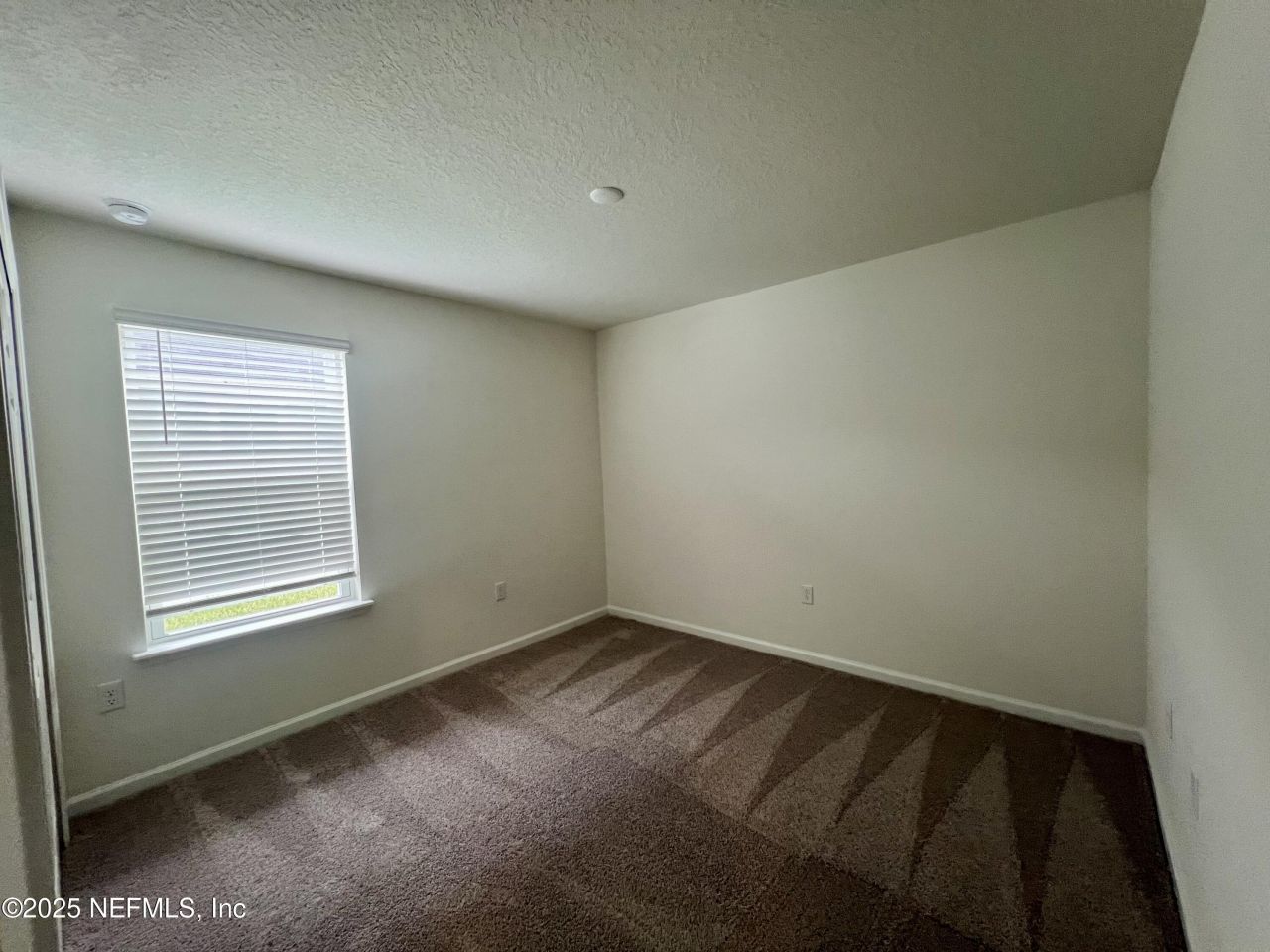 2967 Monroe Lakes Terrace, Green Cove Springs, FL 32043 Photo