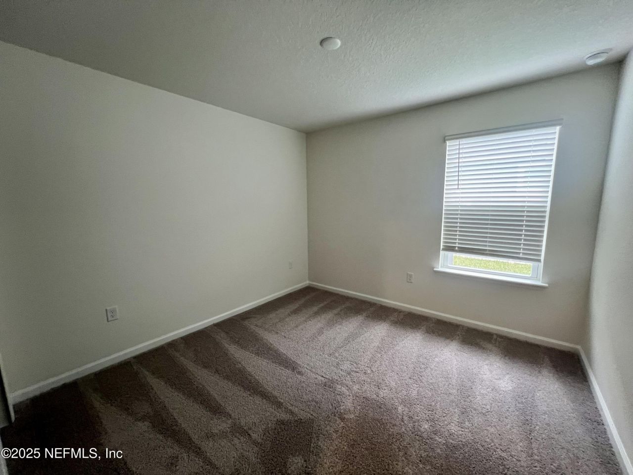 2967 Monroe Lakes Terrace, Green Cove Springs, FL 32043 Photo